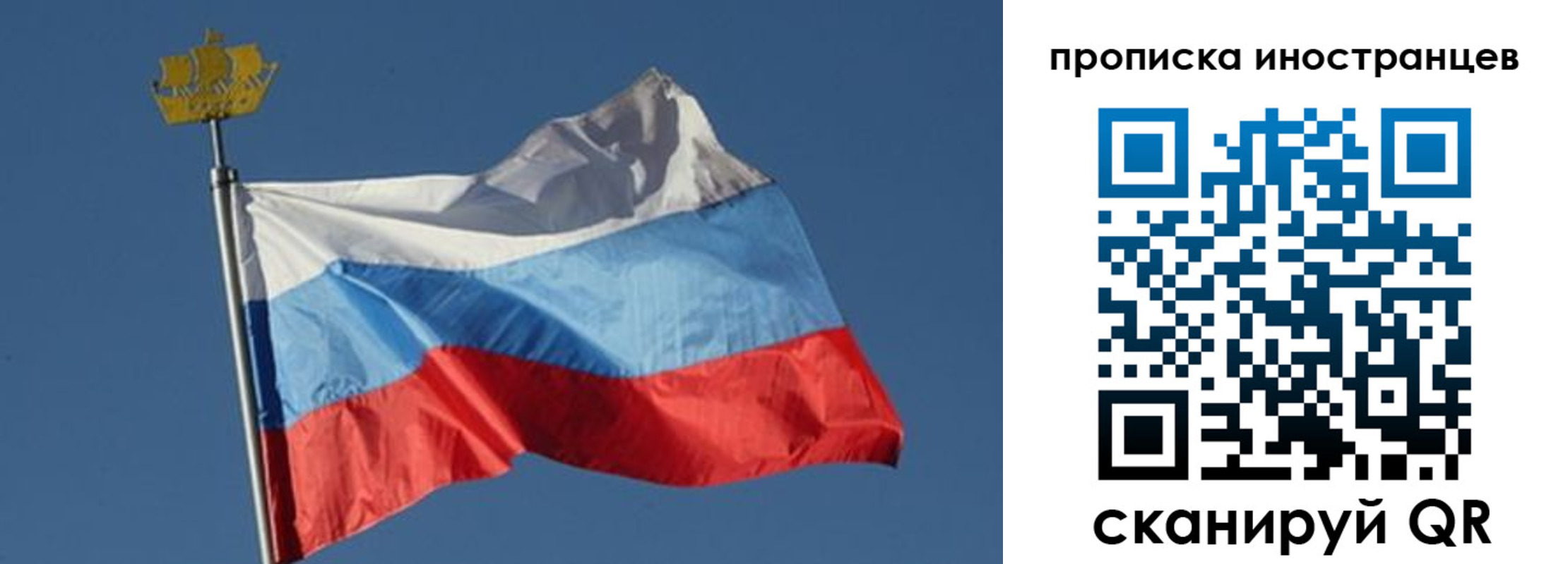 прописка поиск в Новозыбкове